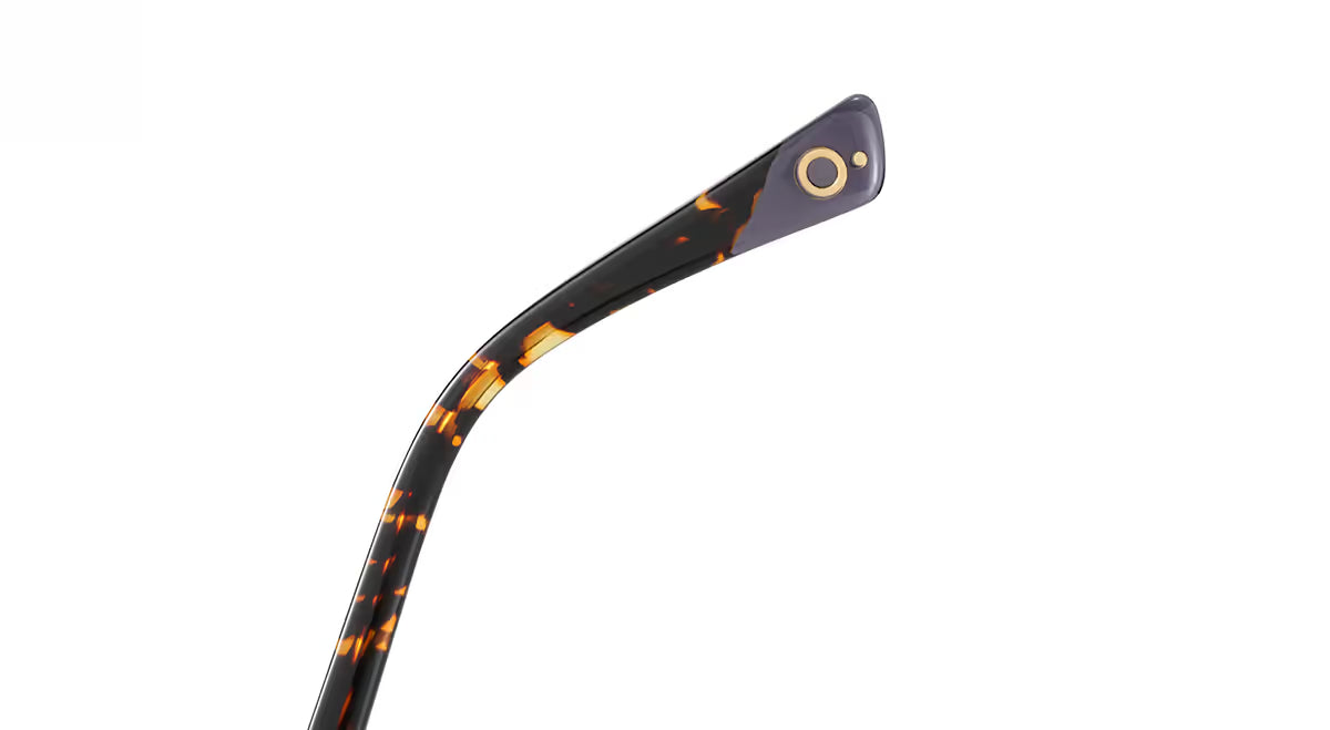 Florida Photochromic HD Black Havana