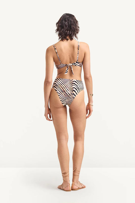 Ada Underwire Top Shell Stripe EcoShimmer