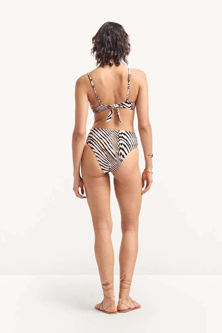 Ada Underwire Top Shell Stripe EcoShimmer in brown — back view | Belle Mar Swim