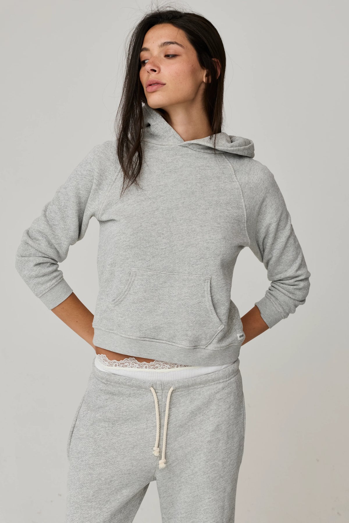 Ryan Shrunken Hoodie Heather Grey