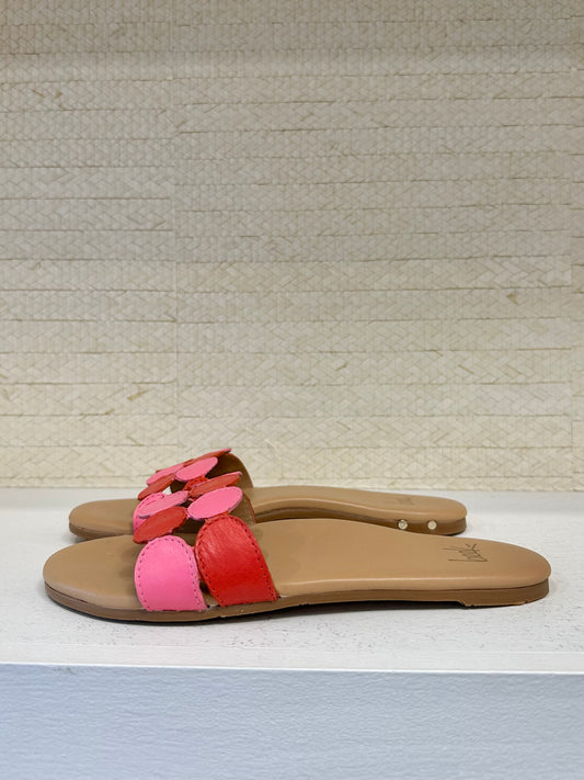 Whirlybird Multi/Beach Sandal