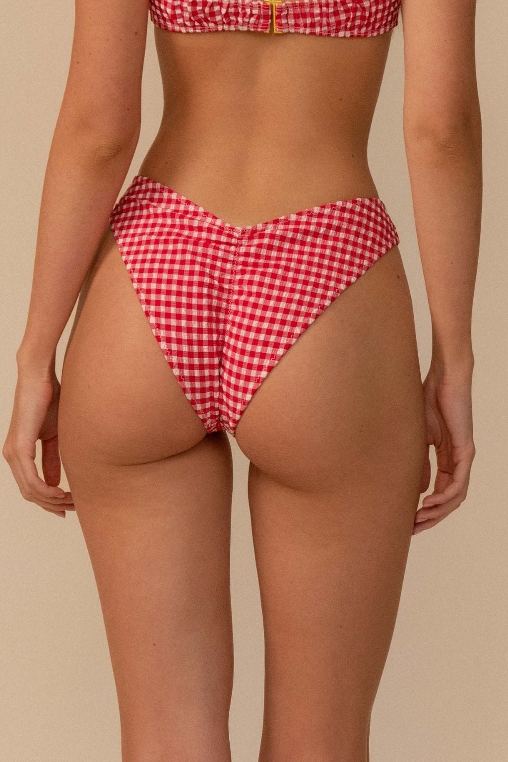 Lulu Bikini Bottom Red Micro Gingham back